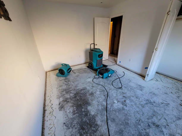 Best 24/7 water damage repair  in University Of Pittsburgh Johnstown, PA