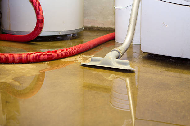 Best Sewage cleanup and water damage restoration  in University Of Pittsburgh Johnstown, PA