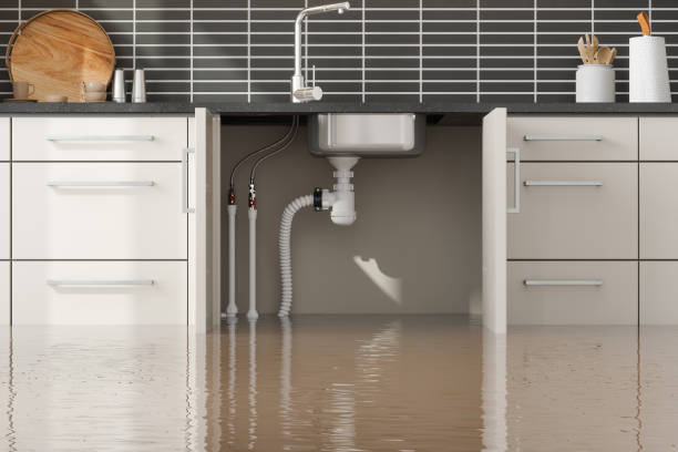 Best Water damage restoration near me  in University Of Pittsburgh Johnstown, PA