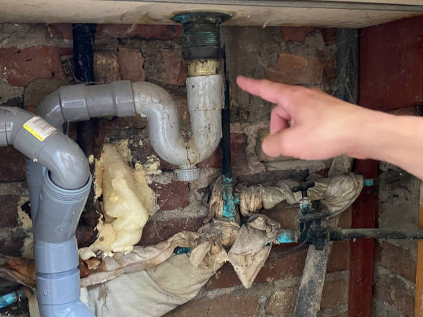 Best Flood damage cleanup  in University Of Pittsburgh Johnstown, PA