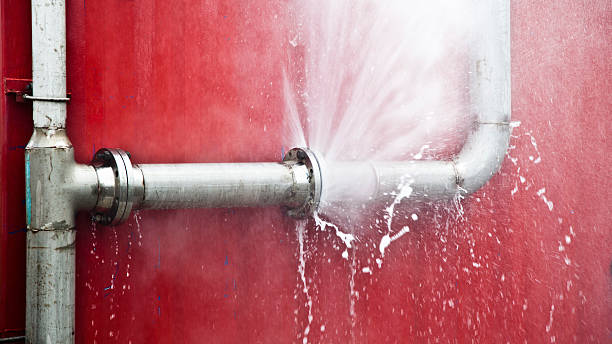 Best Professional water damage repair  in University Of Pittsburgh Johnstown, PA